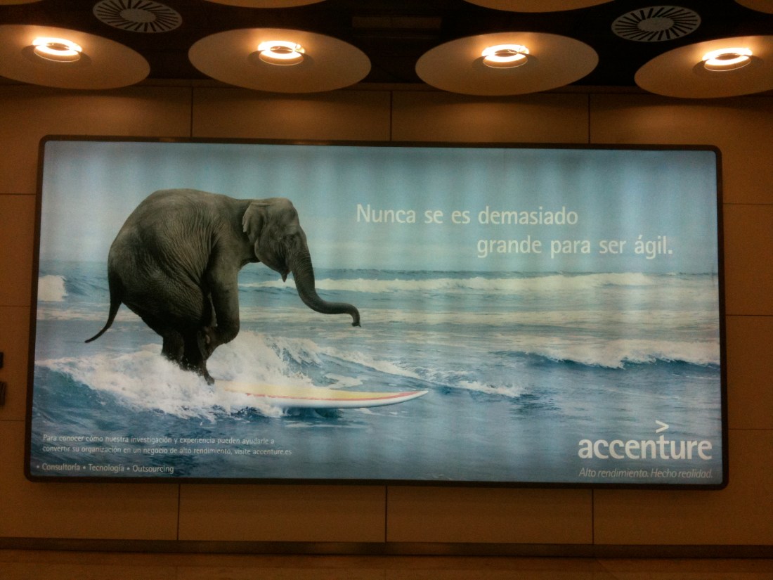 El elefante de Accenture